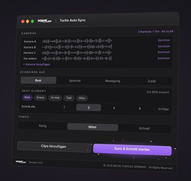 Turtle Auto Sync – App-Fenster